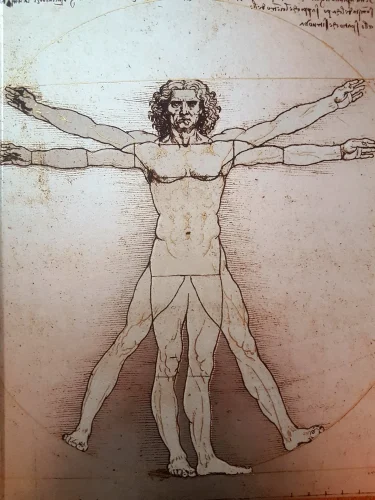 Energiebalance nach Erich Körbler Bild des ideal geformte Mensch nach Leonardo da Vinci welches die Energiebalance nach Erich Körbler symbolisiert