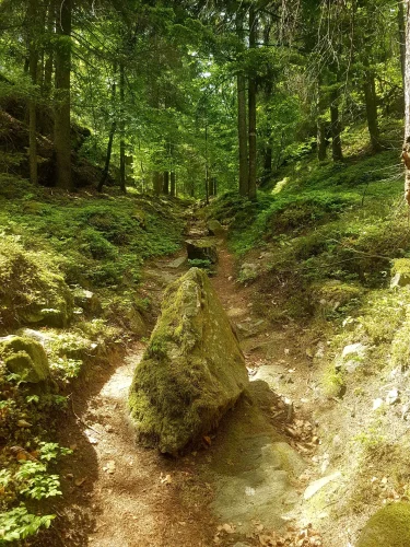 R.E.S.E.T-Kieferbalance Naturaufnahme zum Symbolisieren der R.E.S.E.T-Kieferbalance